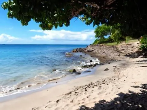 Pierre & Vacances Antigua 4 Sainte-Luce Daire