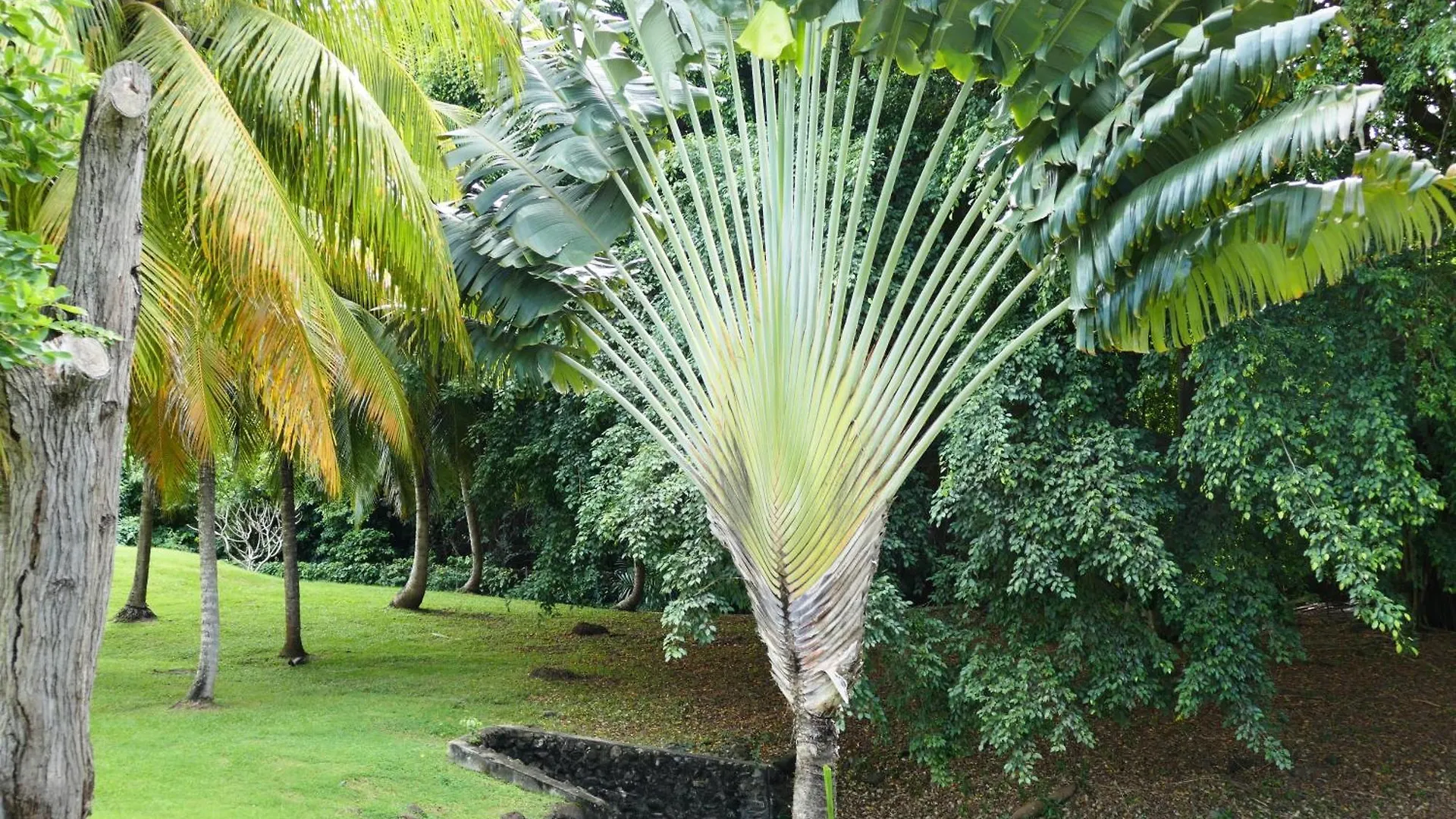 Pierre & Vacances Antigua 4 Sainte-Luce 0*,