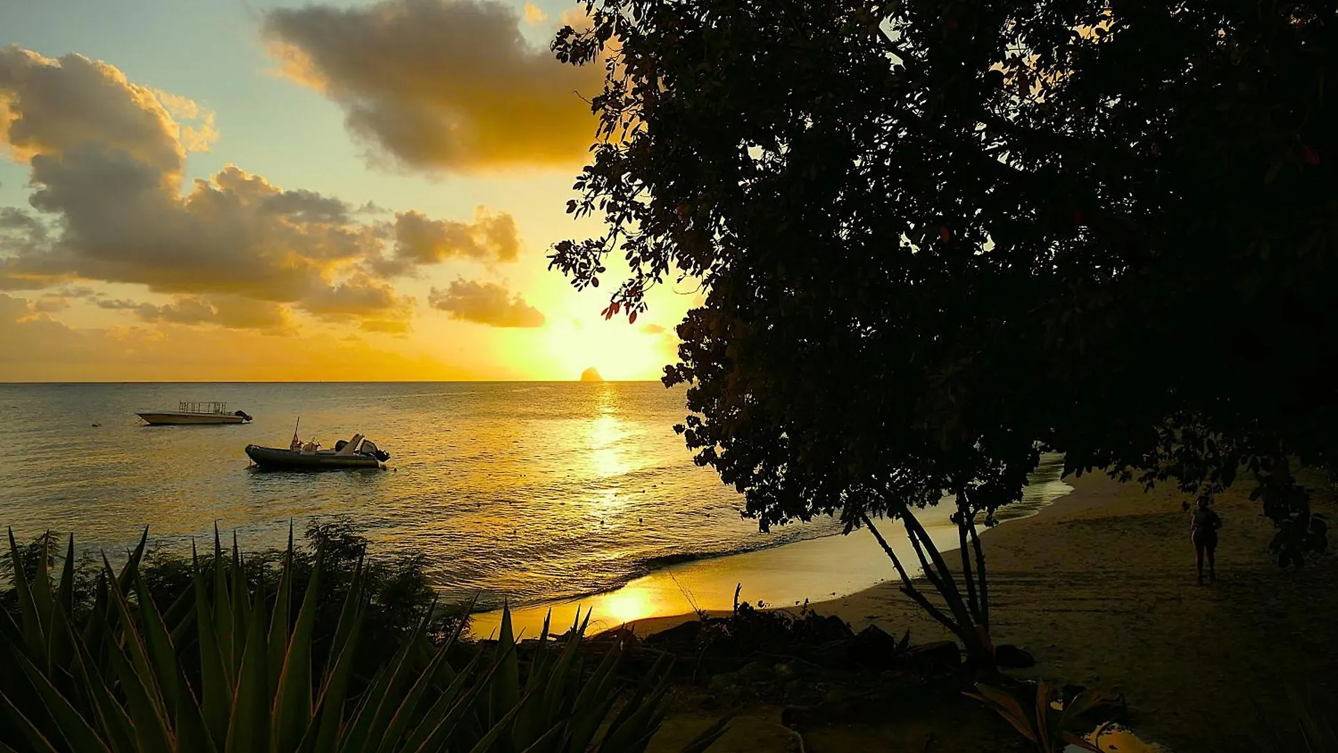 Daire Pierre & Vacances Antigua 4 Sainte-Luce Martinik